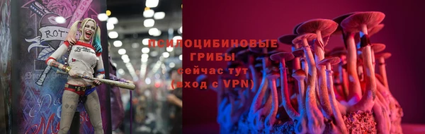 не бодяженный Магас