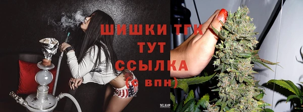 не бодяженный Магас