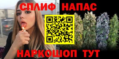 стафф Краснознаменск