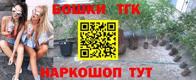 стафф Краснознаменск