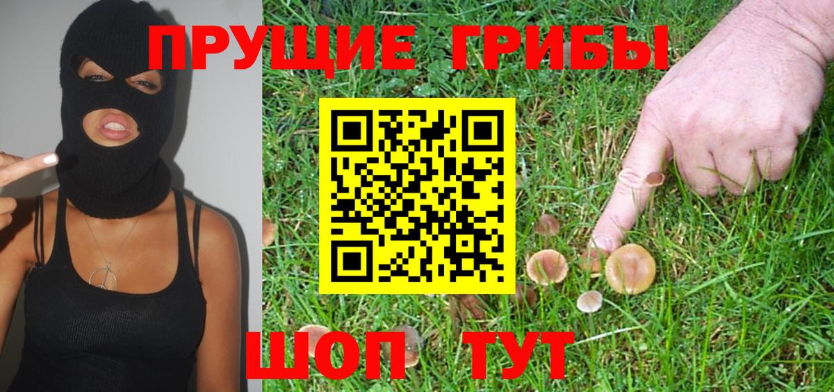 Клин  Псилоцибиновые грибы мицелий  Галлюциногенные грибы Magic Shrooms  Вход с VPN 