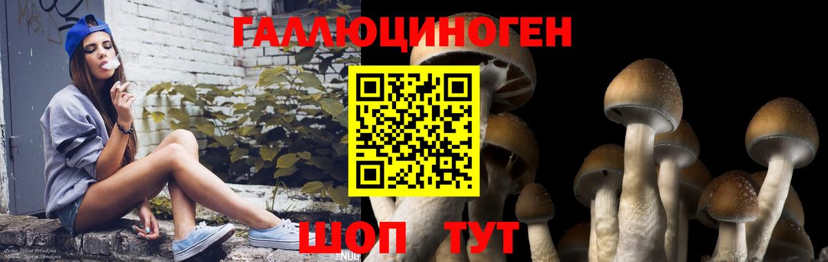 Псилоцибиновые грибы мицелий Клин