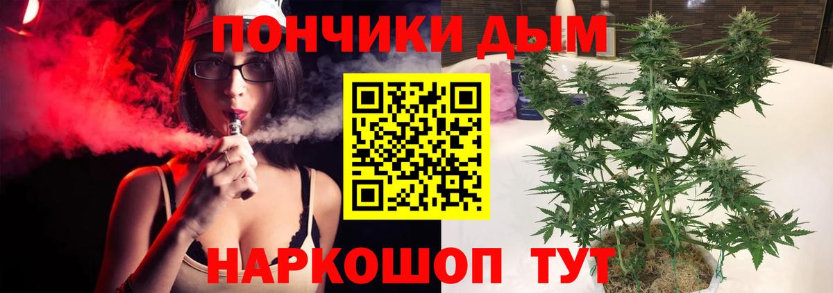 Бошки марихуана гибрид  Вход с VPN  Клин  Бошки марихуана конопля  Канабис Amnesia  Бошки Шишки семена 